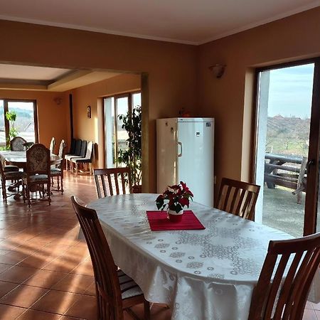 Vis Pension Viile Satu Mare 外观 照片