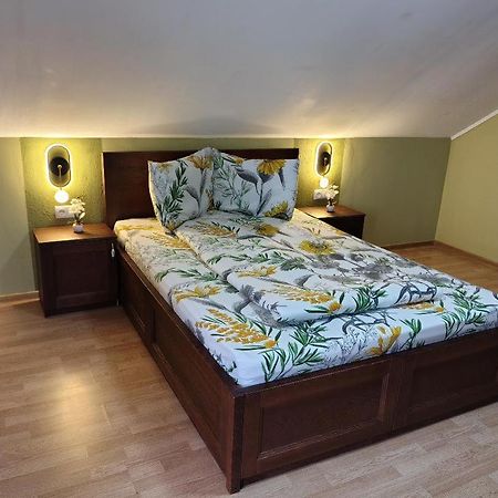 Vis Pension Viile Satu Mare 外观 照片