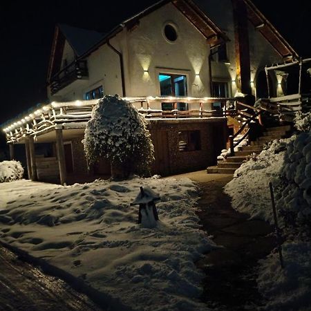 Vis Pension Viile Satu Mare 外观 照片