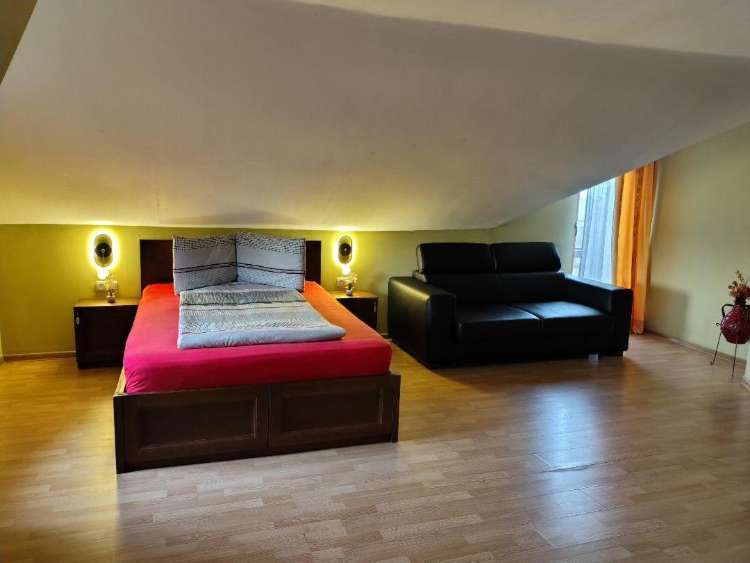 Vis Pension Viile Satu Mare 外观 照片