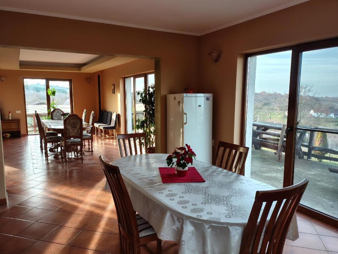 Vis Pension Viile Satu Mare 外观 照片