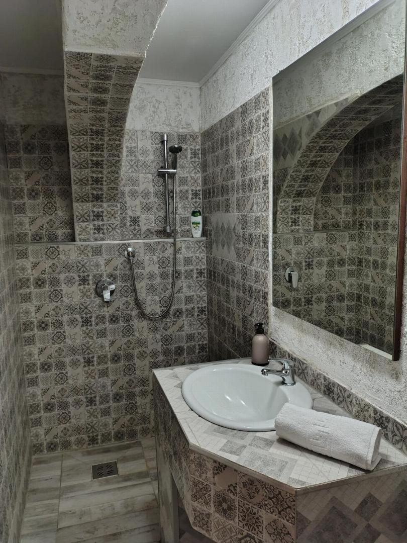 Vis Pension Viile Satu Mare 外观 照片