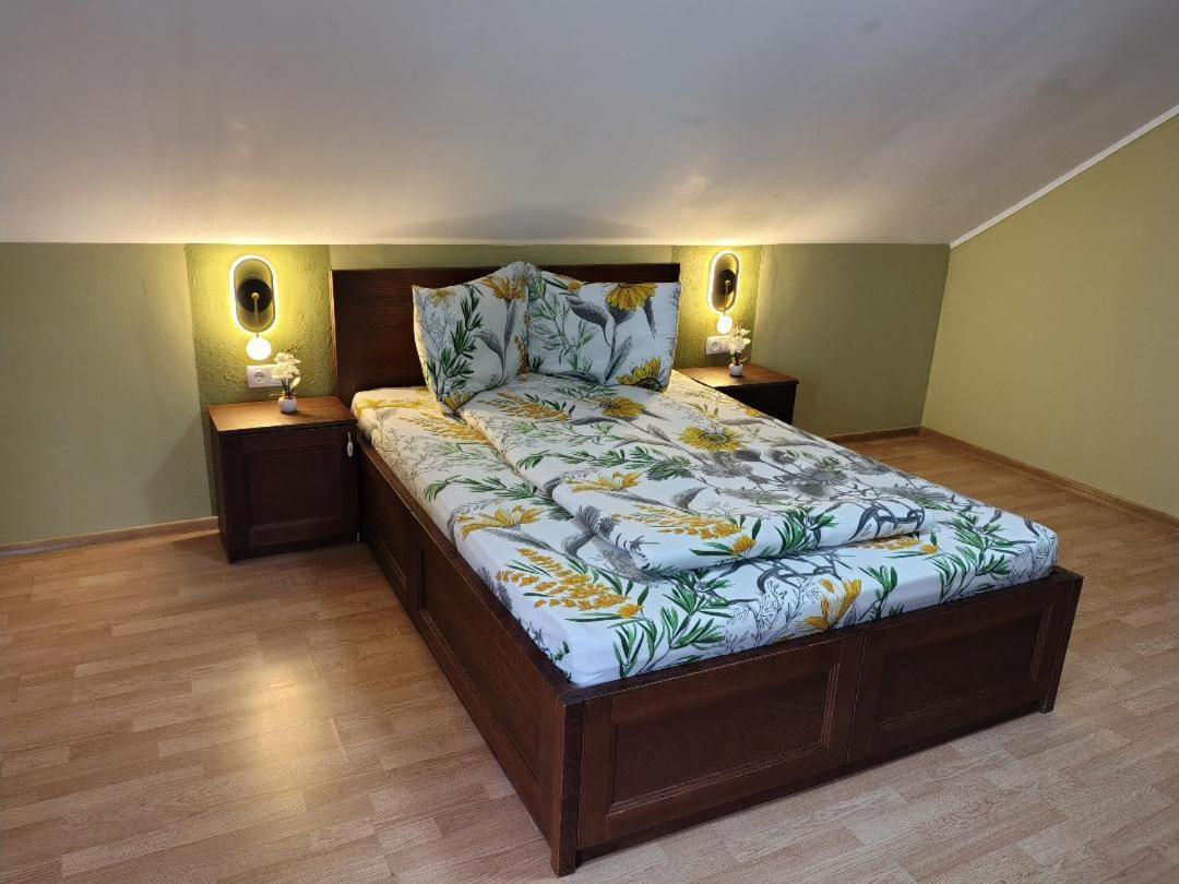 Vis Pension Viile Satu Mare 外观 照片