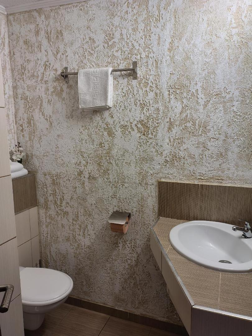 Vis Pension Viile Satu Mare 外观 照片