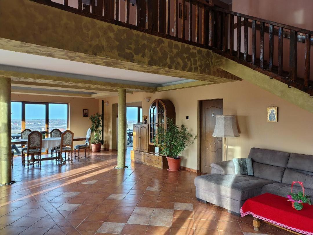 Vis Pension Viile Satu Mare 外观 照片
