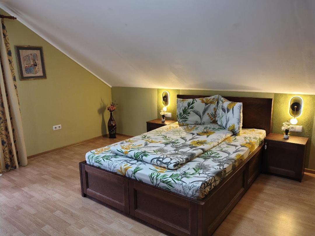 Vis Pension Viile Satu Mare 外观 照片