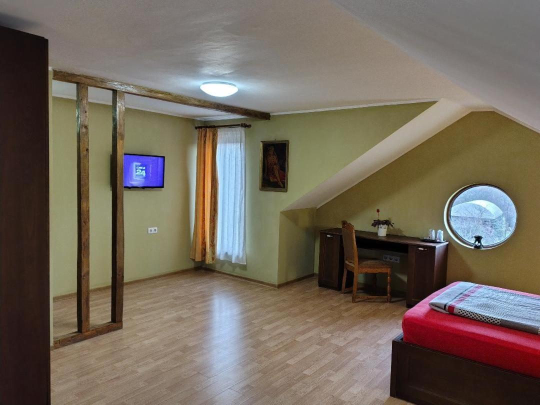 Vis Pension Viile Satu Mare 外观 照片