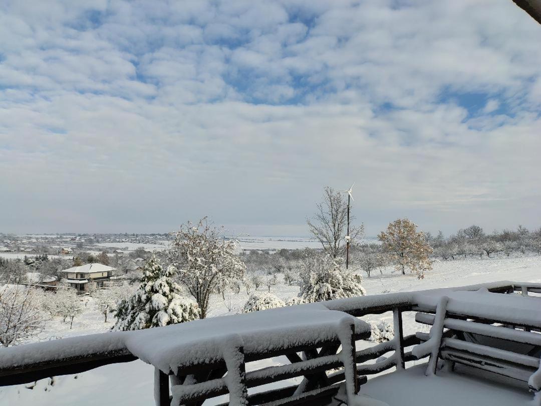 Vis Pension Viile Satu Mare 外观 照片