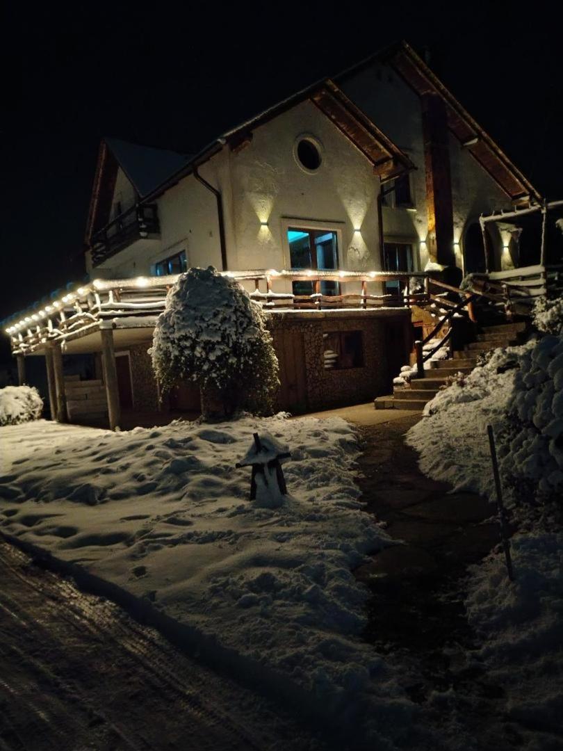 Vis Pension Viile Satu Mare 外观 照片