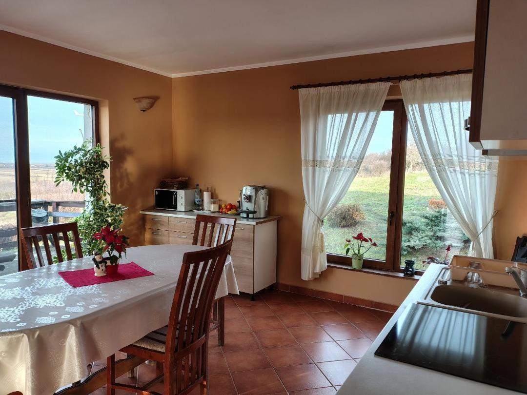 Vis Pension Viile Satu Mare 外观 照片