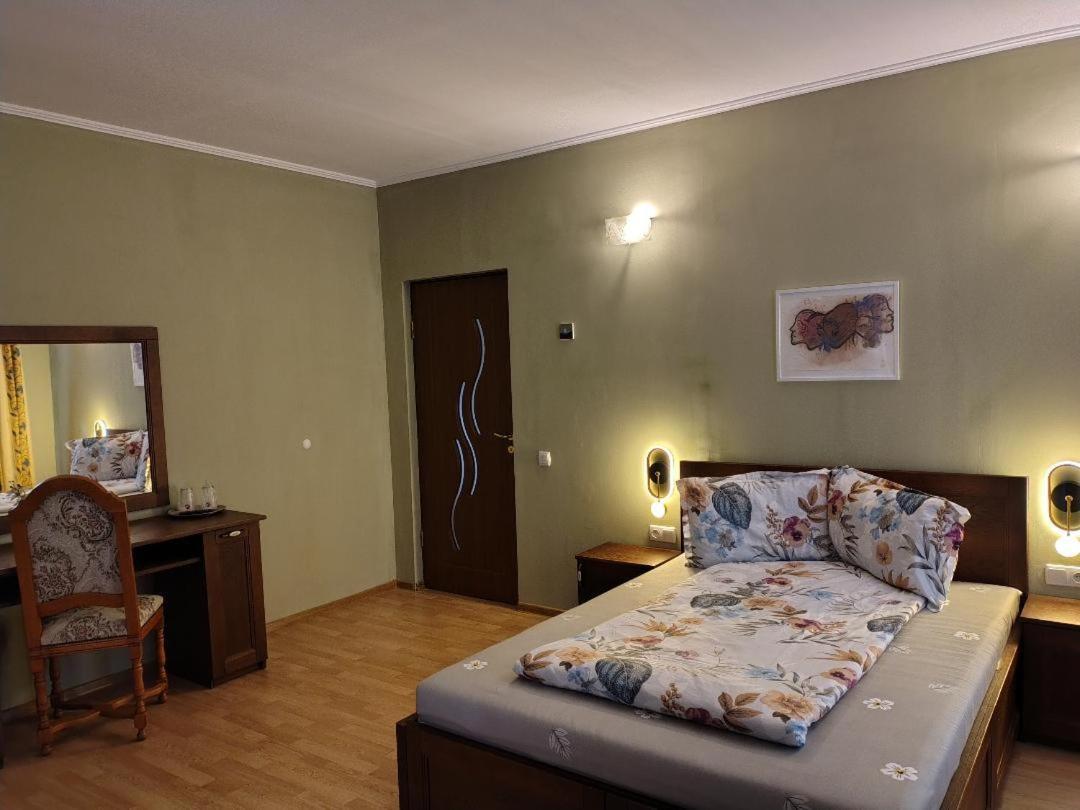 Vis Pension Viile Satu Mare 外观 照片