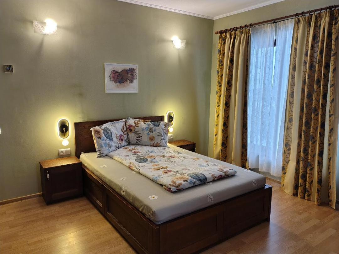 Vis Pension Viile Satu Mare 外观 照片