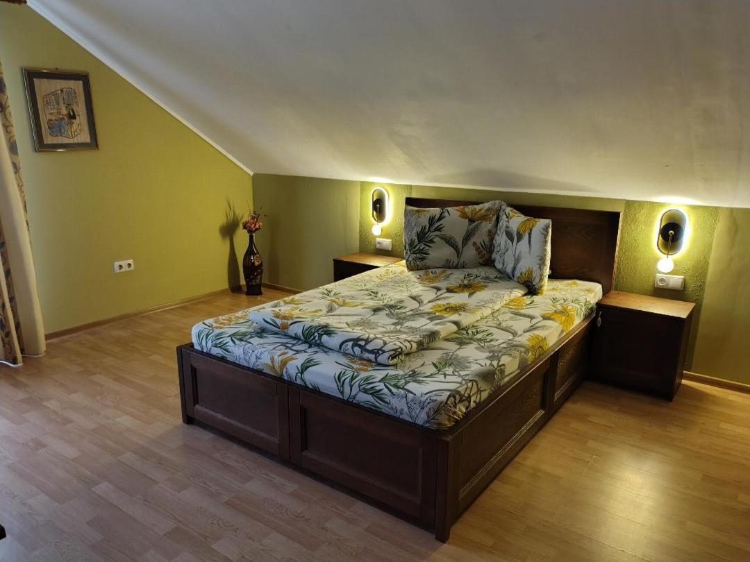 Vis Pension Viile Satu Mare 外观 照片