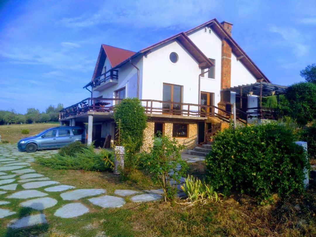 Vis Pension Viile Satu Mare 外观 照片