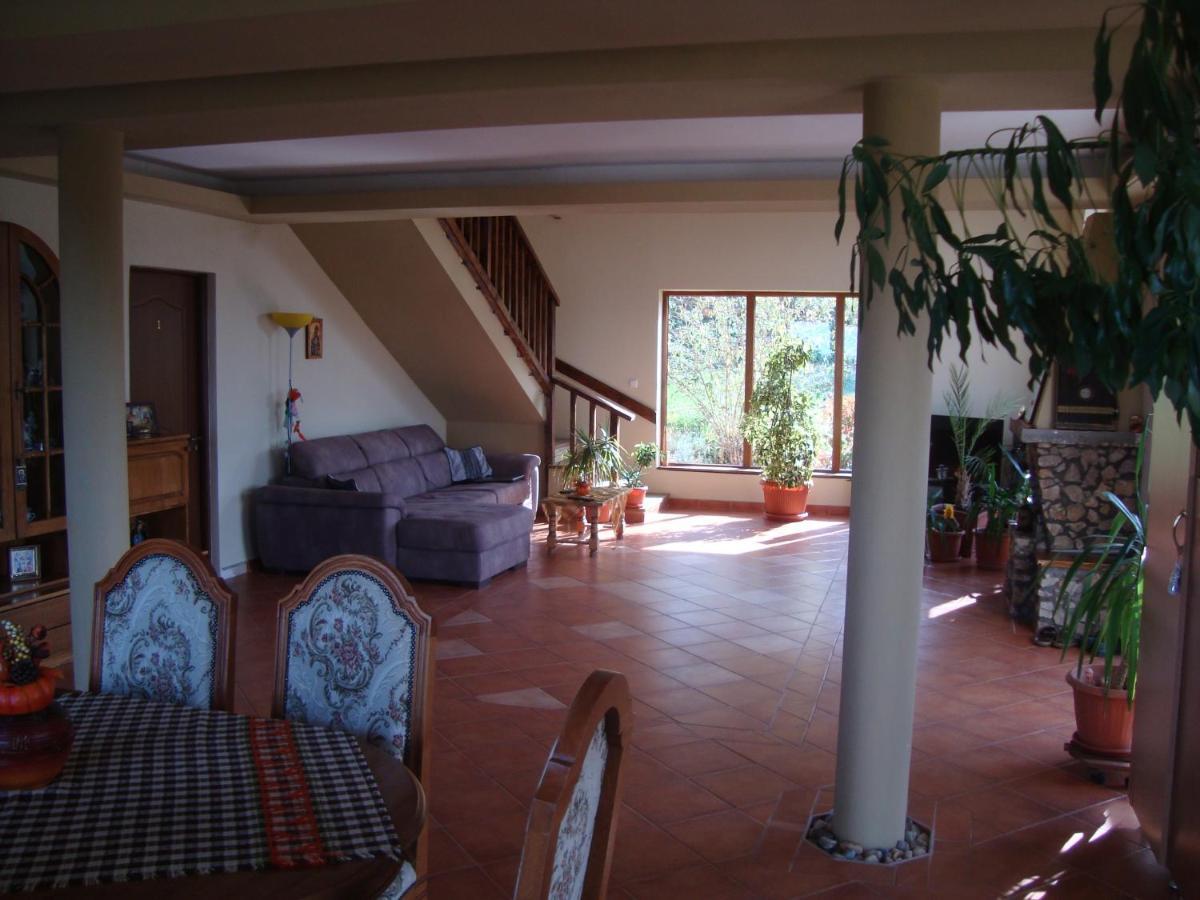Vis Pension Viile Satu Mare 外观 照片