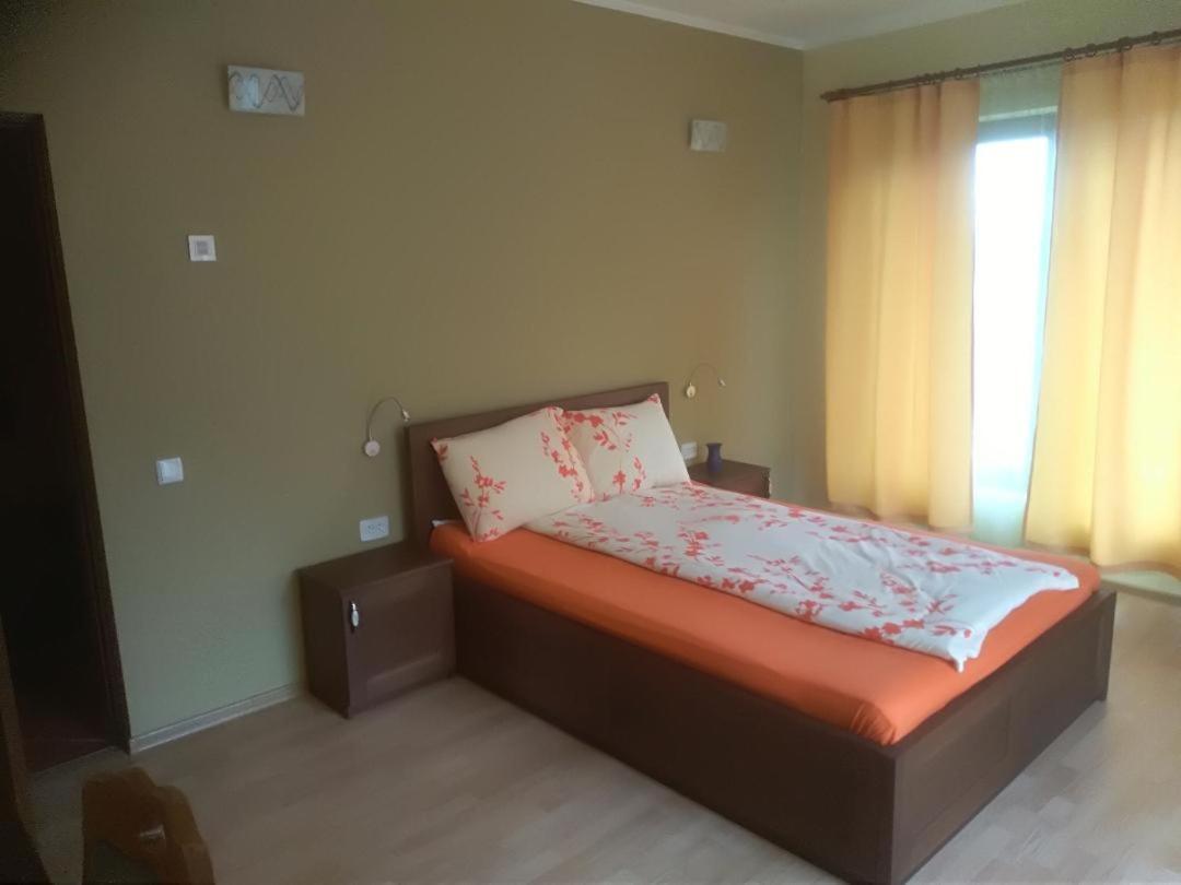 Vis Pension Viile Satu Mare 外观 照片