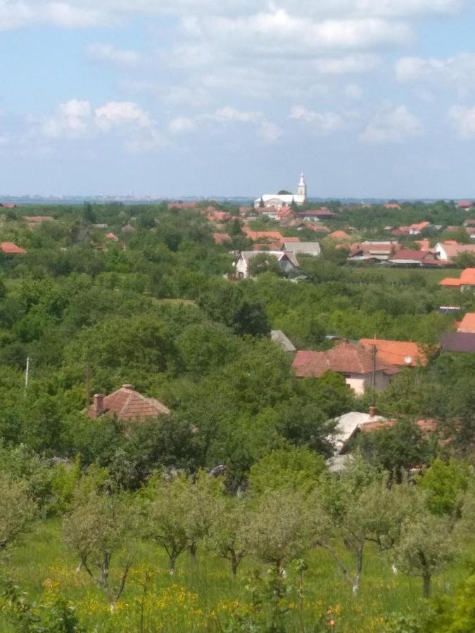 Vis Pension Viile Satu Mare 外观 照片