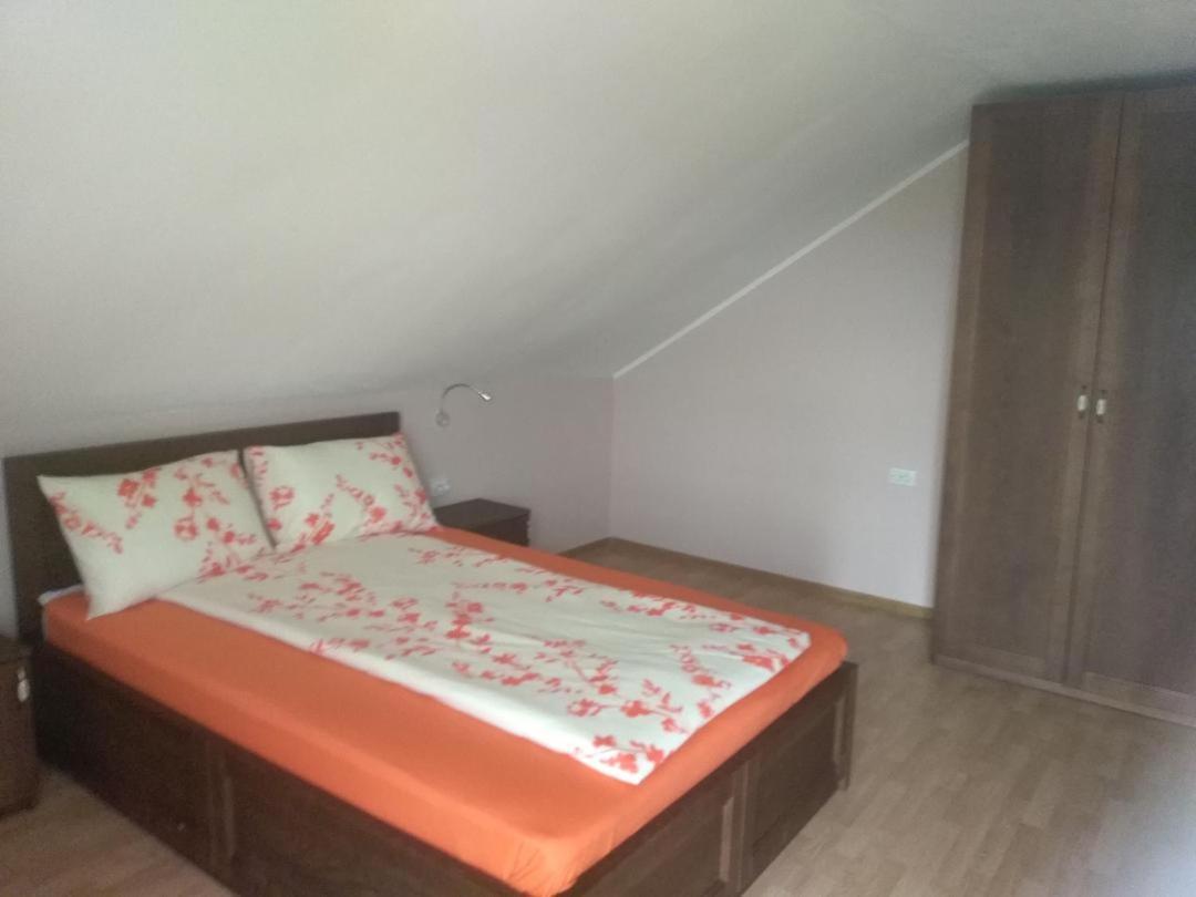 Vis Pension Viile Satu Mare 外观 照片