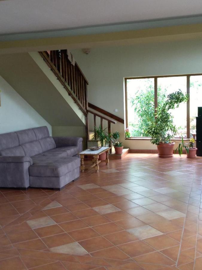 Vis Pension Viile Satu Mare 外观 照片