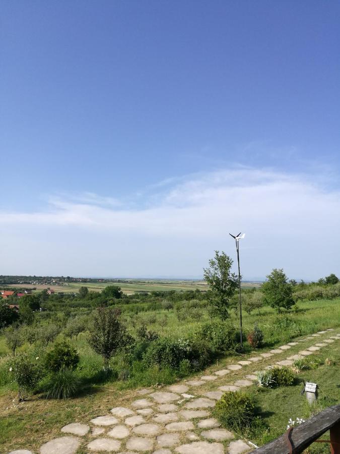 Vis Pension Viile Satu Mare 外观 照片
