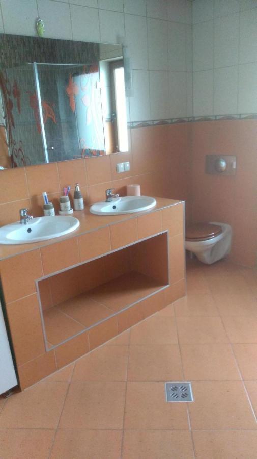 Vis Pension Viile Satu Mare 外观 照片