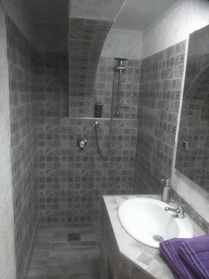 Vis Pension Viile Satu Mare 外观 照片