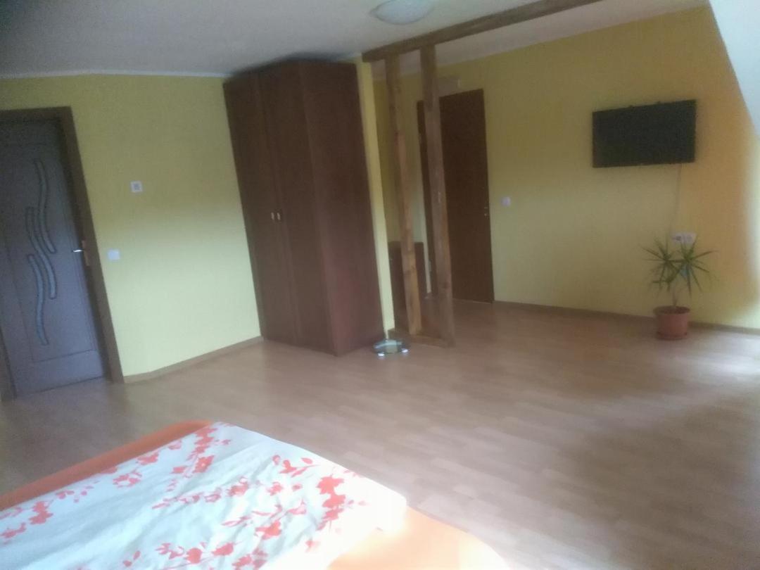 Vis Pension Viile Satu Mare 外观 照片