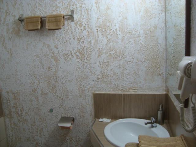 Vis Pension Viile Satu Mare 外观 照片