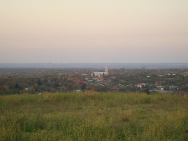 Vis Pension Viile Satu Mare 外观 照片